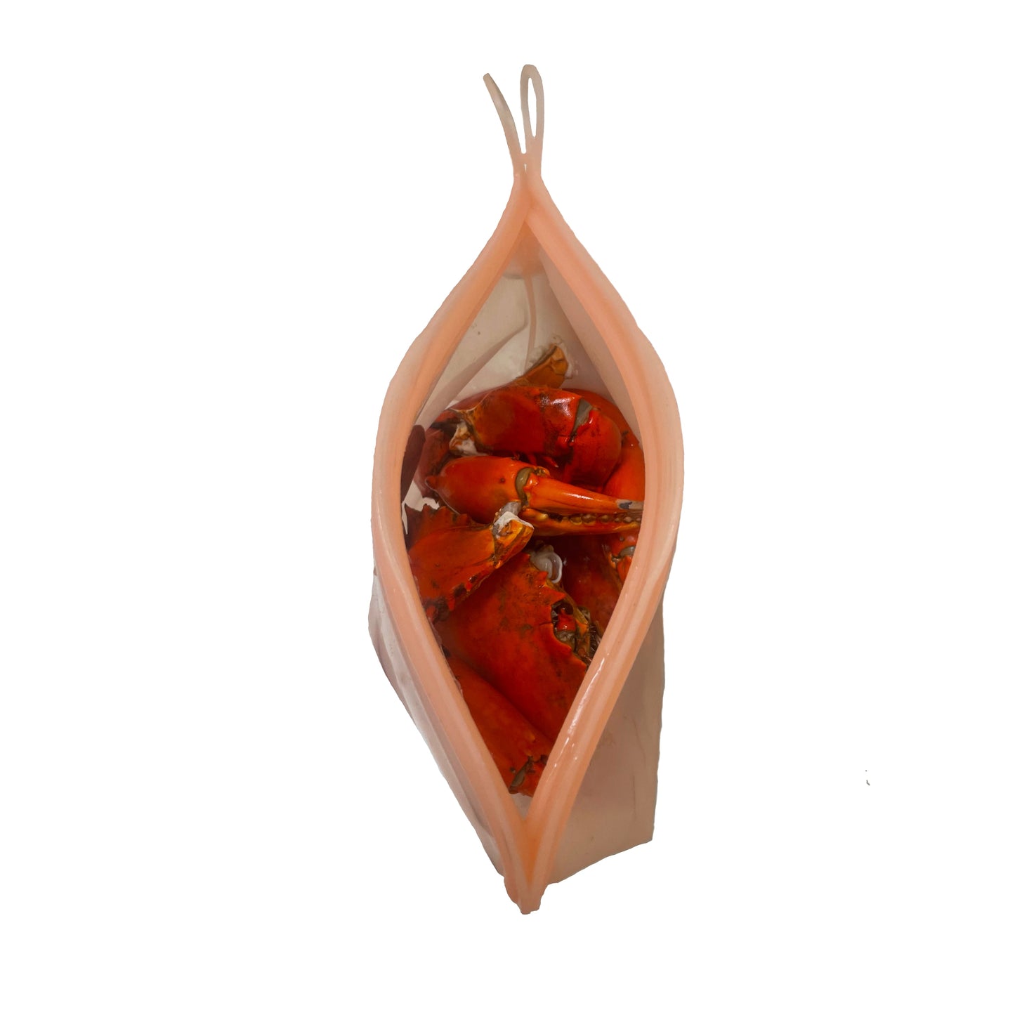Allsmalls Eco Bag Medium - Silicon alternative to zip lock bags